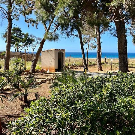 Appartamento I Tramonti Di Cofano Castelluzzo Luaran gambar