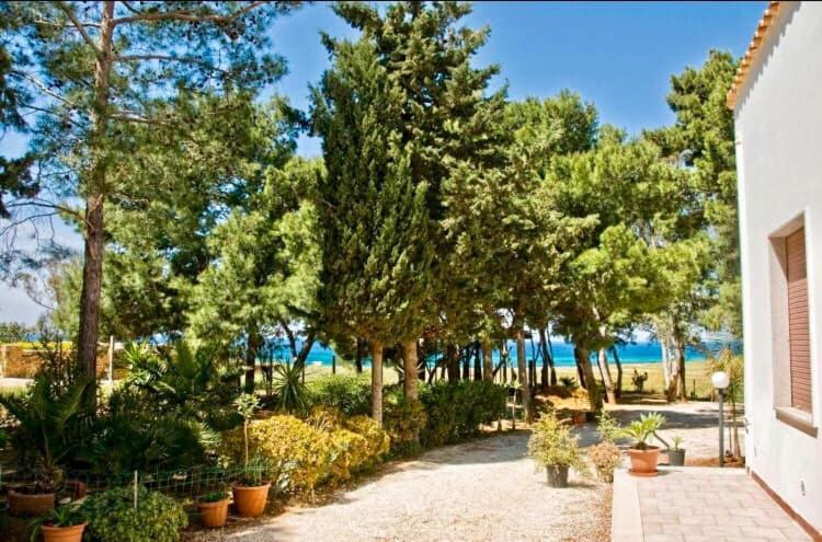 Appartamento I Tramonti Di Cofano Castelluzzo Luaran gambar
