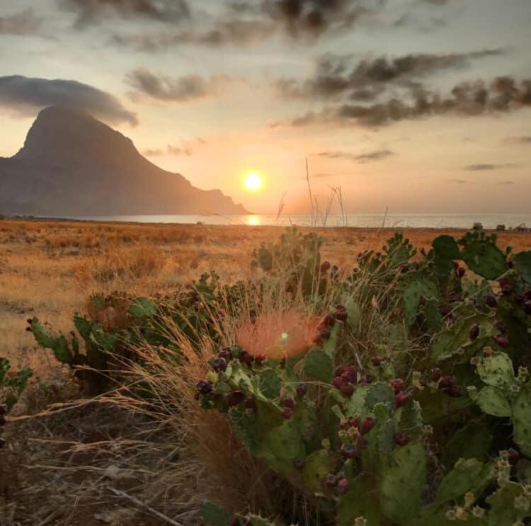 Appartamento I Tramonti Di Cofano Castelluzzo Luaran gambar