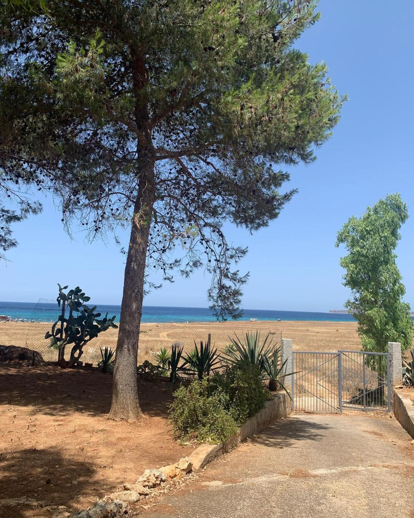 Appartamento I Tramonti Di Cofano Castelluzzo Luaran gambar