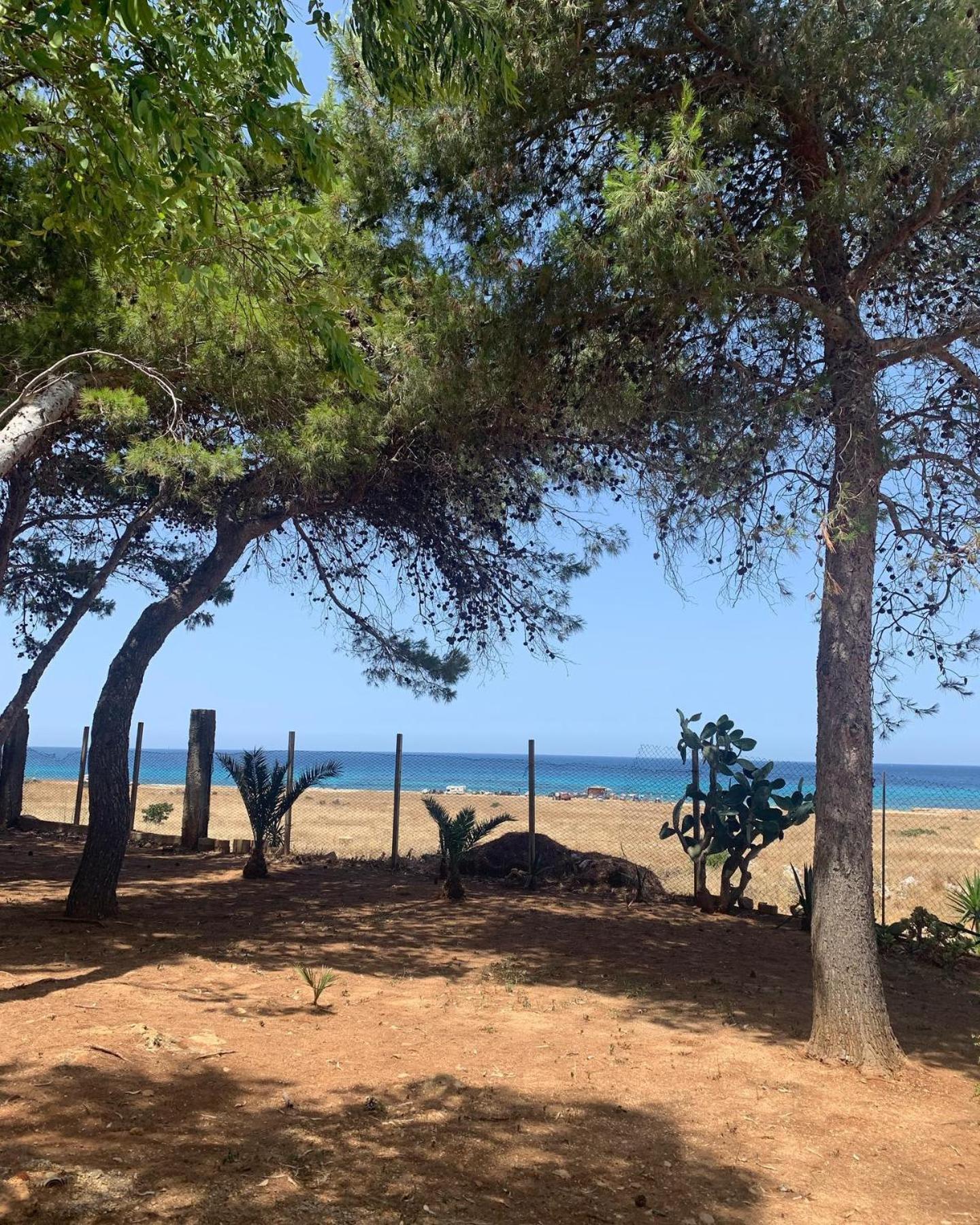 Appartamento I Tramonti Di Cofano Castelluzzo Luaran gambar